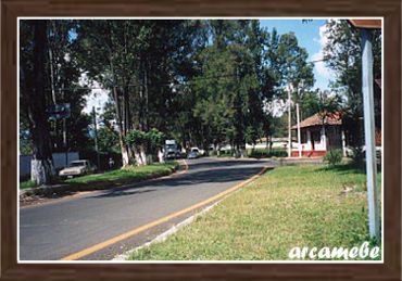 Avenida Lázaro Cárdenas